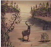 Deer Delight